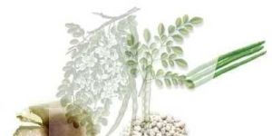 Moringa Products