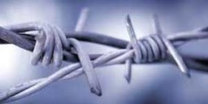 Barbed Wires