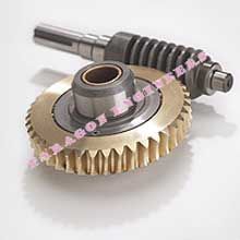 Worm Gear