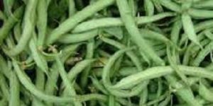 Fresh Beans