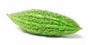 Fresh Bitter Gourd
