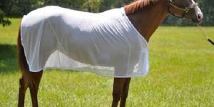 Horse Exercise Sheet