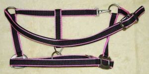 Horse Halters