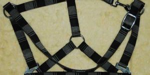 Horse Halters