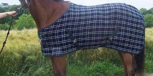 Horse Rugs