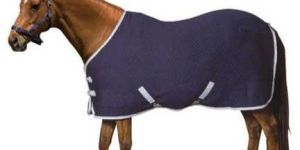 Cooler Rugs
