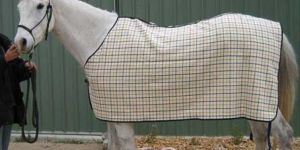 Stable Rug