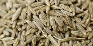 Cumin Seeds