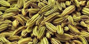 Fennel Seeds