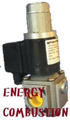 Gas Pressure Regulator