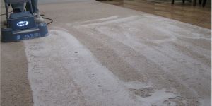 Verus Carpet Cleaner Concentrate