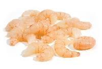 Pud Shrimps