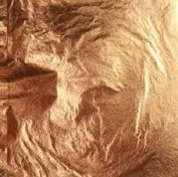 Copper Leafing