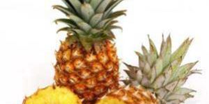 Fresh Pineapples