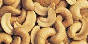Cashew Nuts