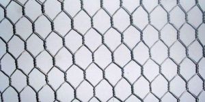 Gi Wire Netting