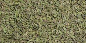 Fennel Seeds