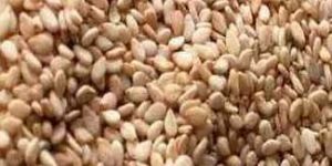 Brown Sesame Seeds