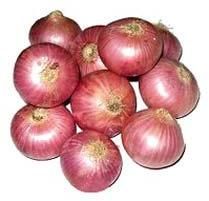 Fresh Onions