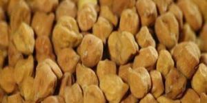 Kabuli Chana