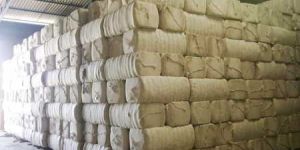 Cotton Bales