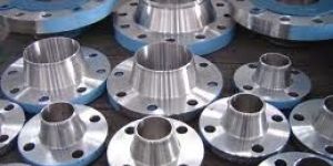 Stainless Steel Flanges