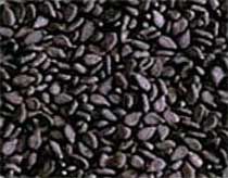 Black Sesame Seeds