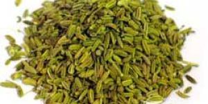 Fennel Seeds
