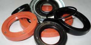 Oil Seals