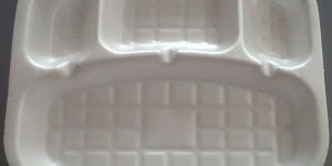 Disposable Thermocol Plates