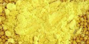 Yellow Mustard Seeds