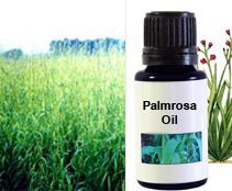 Palmarosa Oil