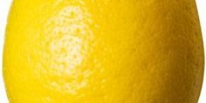 Lemon
