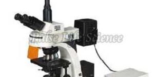 Fluorescence Microscope