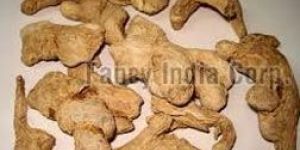 Dry Ginger