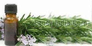 Eucalyptus Oil