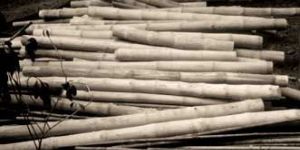 Long Bamboo Stick Broom