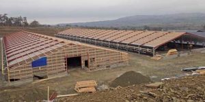 Broiler Poultry Sheds