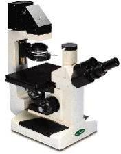 Inverted Microscopes