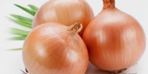 Onion