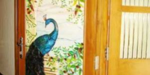 Decorative Glass Doors