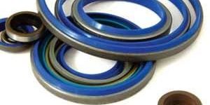 Dust Seals