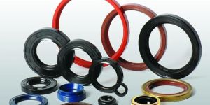 Oil Seals