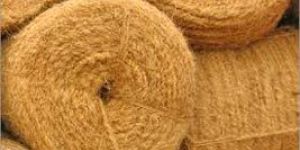 Coir Fiber