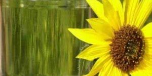 Crude Sunflower Oil