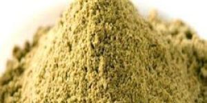 Coriander Powder