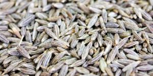 Cumin Seeds