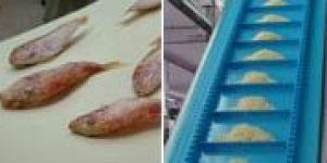 Thermoplastic Conveyor Belts