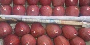 Fresh Kashmiri Apple