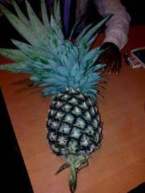 Fresh Pineapple